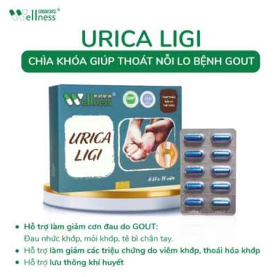 Thực phẩm hỗ trợ Gout URICA LIGI Profile Picture