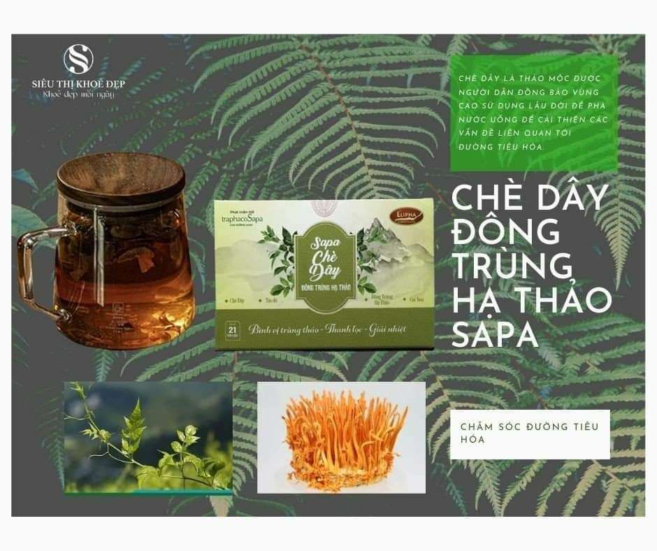 Chè dây đông trùng hạ thảo Profile Picture