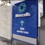 MESCELLS