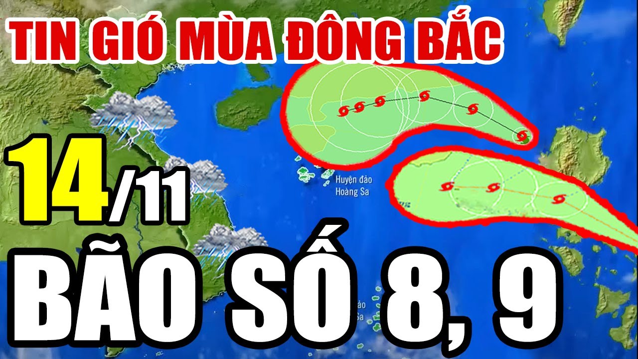 ?[Trực Tiếp] Dự báo thời tiết hôm nay và ngày mai 14/11/2024 | dự báo thời tiết 3 ngày tới - YouTube